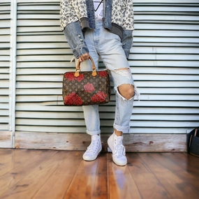 Cluster of Red Roses Urban Functionality Functional Everyday